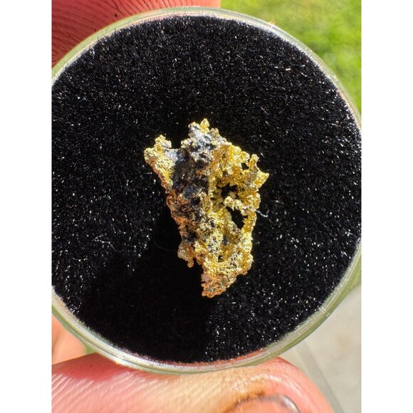 California Native Gold Crystal - 0.80 grams - Picture 3 of 6